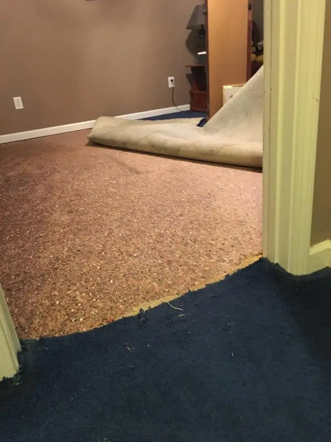 Carpet pad removal revealing water damage during Water Mitigation Services in Carpentersville