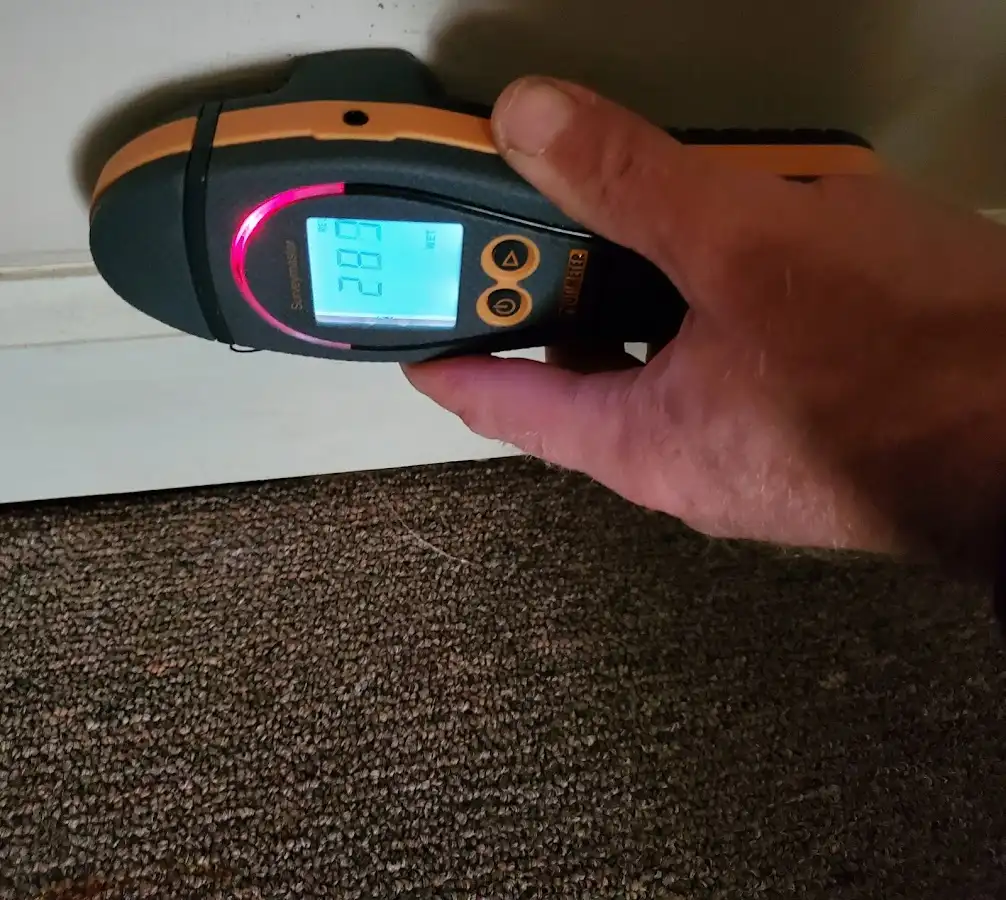 Moisture detection at baseboard during Sewage Cleanup & Sanitation in Carpentersville